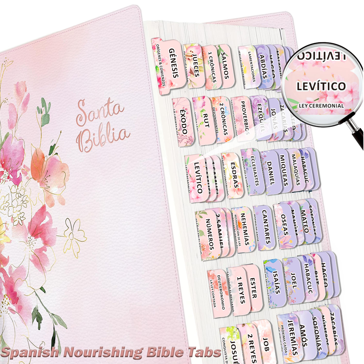 80pcs Spanish Bible Tabs-Soul  - Index Tab Divider บทวิจารณ์และราคา
