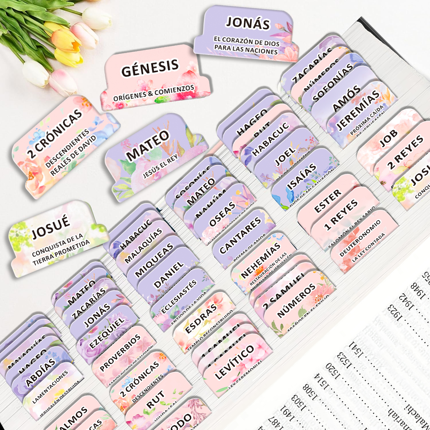 80pcs Spanish Bible Tabs-Soul  - Index Tab Divider บทวิจารณ์และราคา