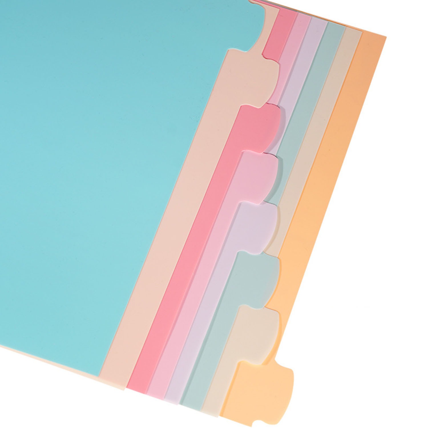 8 Tab Binder Dividers for 3 Ri - Index Tab Divider บทวิจารณ์และราคา